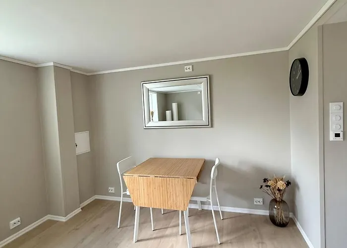 Downtown Lejlighed *